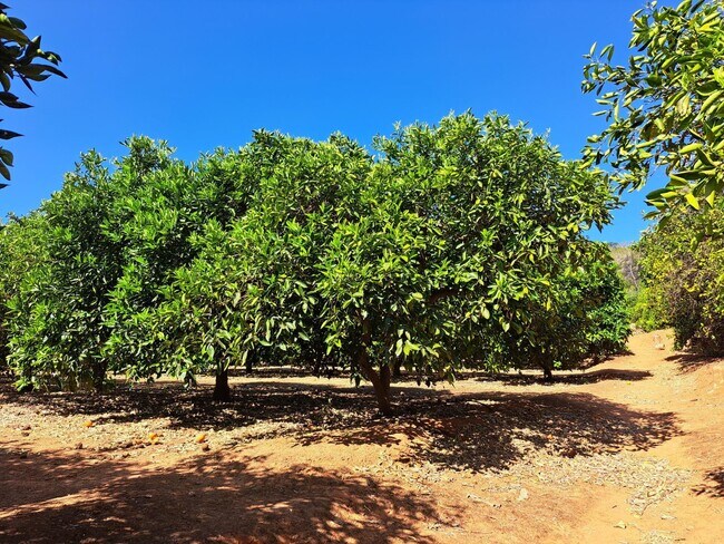 Más detalles de Terreno en venta