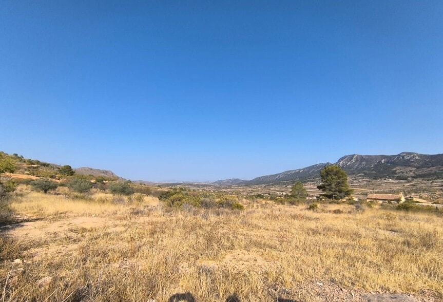 Terreno en Algueña, Alicante en venta - Foto principal - Imagen 2 de 4