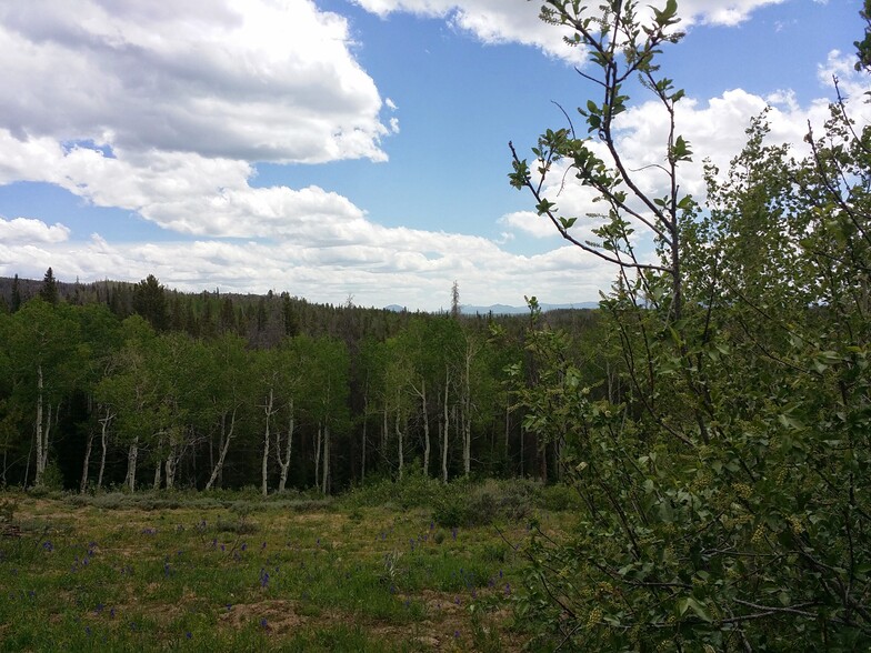 Jack Creek Road, Saratoga, WY en venta - Foto del edificio - Imagen 3 de 13