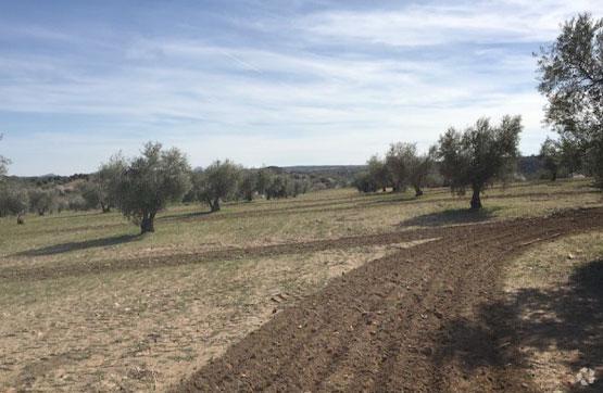 Terrenos en Villamuelas, Toledo en venta - Foto del edificio - Imagen 2 de 4