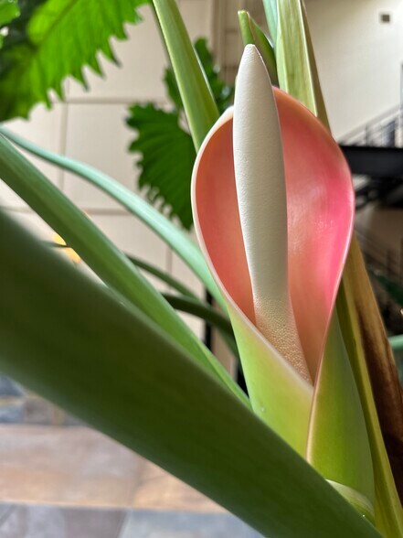 111 Rhode Island St, San Francisco, CA en alquiler - Foto del edificio - Imagen 3 de 21