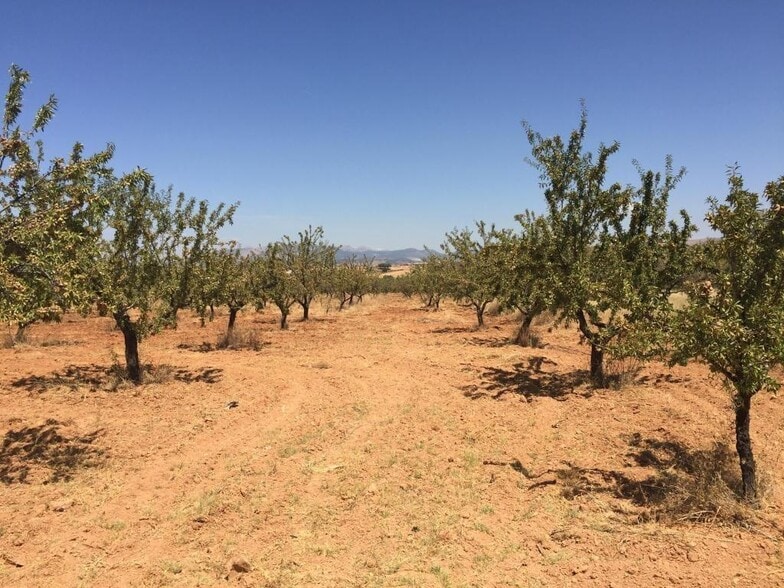 Terreno en Dílar, Granada en venta - Foto del edificio - Imagen 3 de 7
