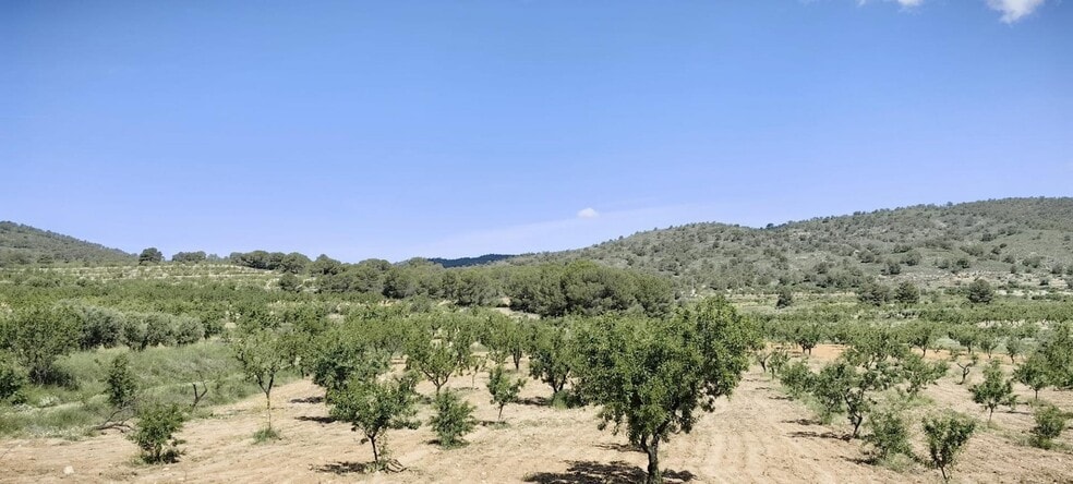 Terreno en Yecla, Murcia en venta - Vista aérea - Imagen 2 de 6