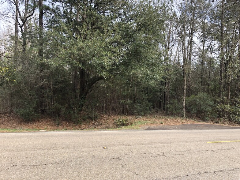 Hwy 190 and Hwy 22, Mandeville, LA en alquiler - Foto del edificio - Imagen 1 de 4