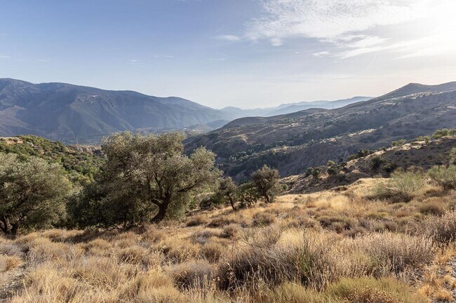 Más detalles de Terreno en venta