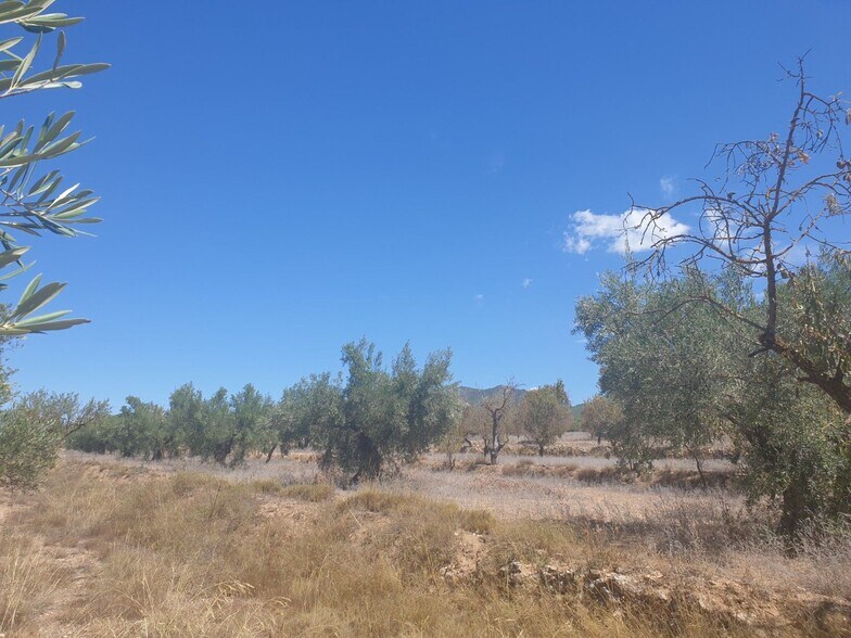 Terreno en Biar en venta - Foto del edificio - Imagen 3 de 6