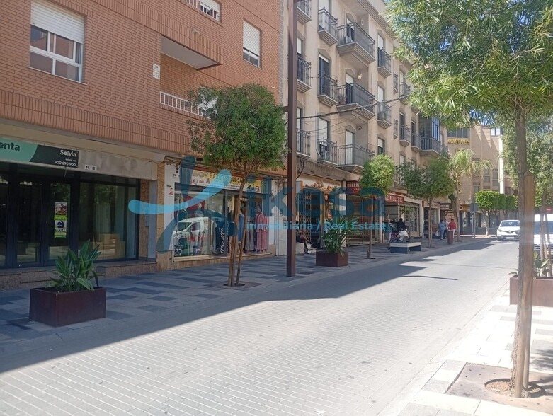 Local en El Ejido, Almería en venta - Foto del edificio - Imagen 3 de 7