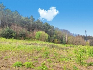 Más detalles de Lugar Cabrois, S/N, Carral - Terreno en venta