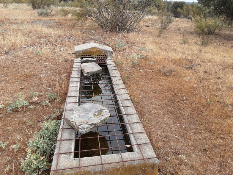Terreno en Cáceres, Cáceres en venta - Foto principal - Imagen 2 de 8