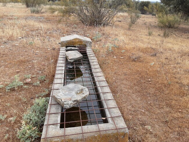 Más detalles de Bermejo, Botija, Tipo, 1953, Cáceres - Terreno en venta