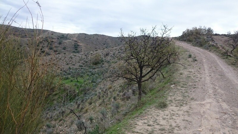 Terreno en Cantoria en venta - Foto del edificio - Imagen 3 de 3