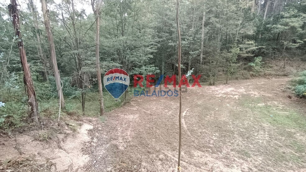 Terreno en O Porriño, Pontevedra en venta - Foto principal - Imagen 1 de 9