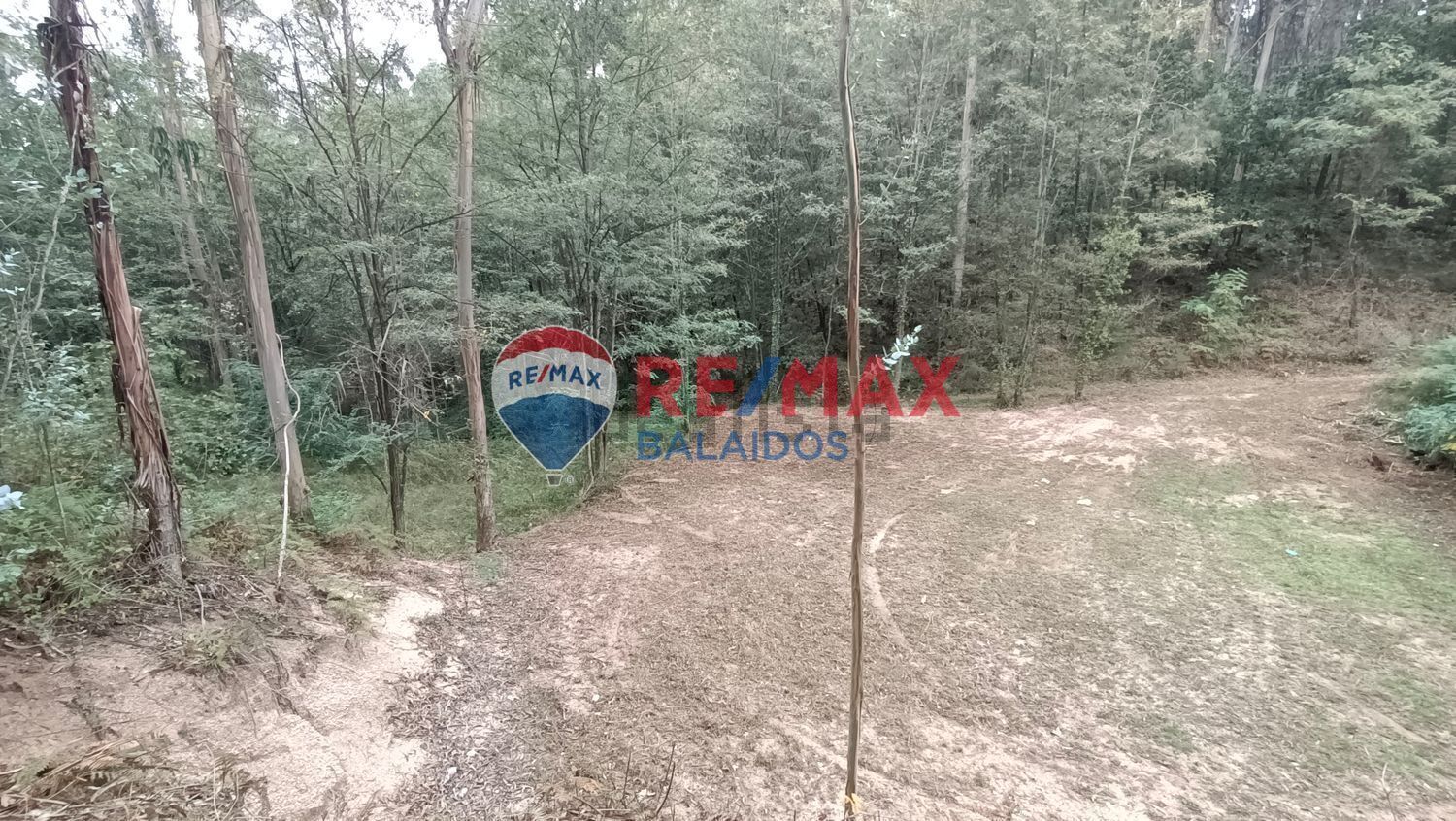 Terreno en O Porriño, Pontevedra en venta Foto principal- Imagen 1 de 10