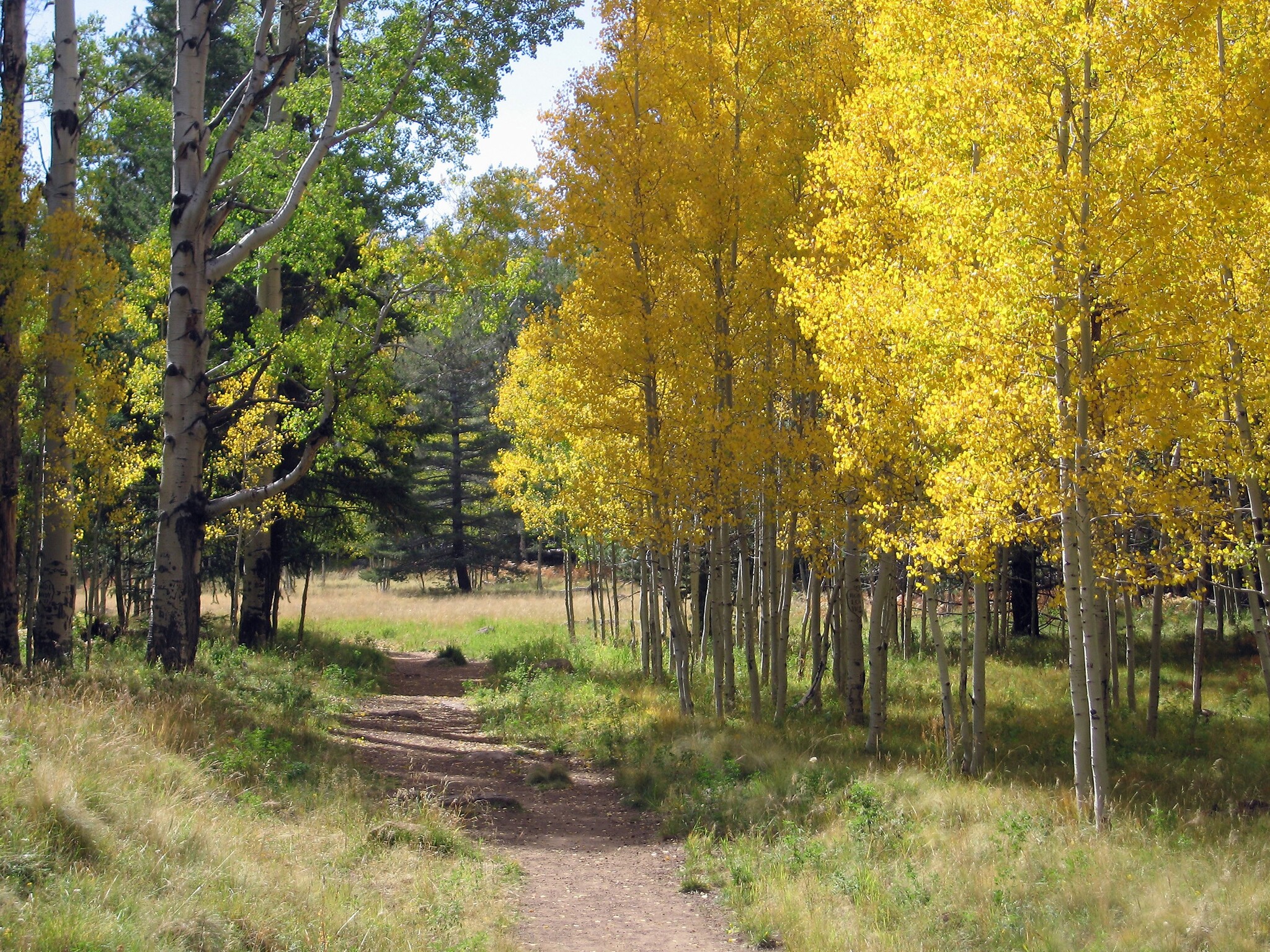 456 John Wesley Powell Boulevard Blvd, Flagstaff, AZ en alquiler Foto del edificio- Imagen 1 de 6