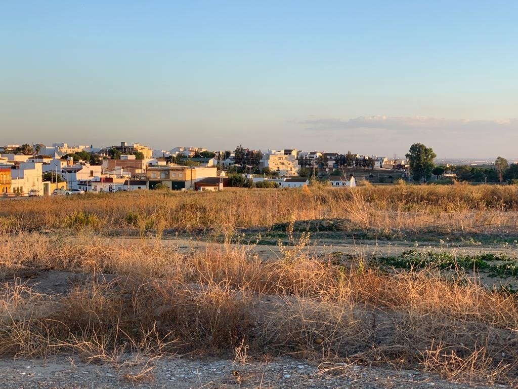 Terreno en Burguillos, Sevilla en venta Foto del edificio- Imagen 1 de 29
