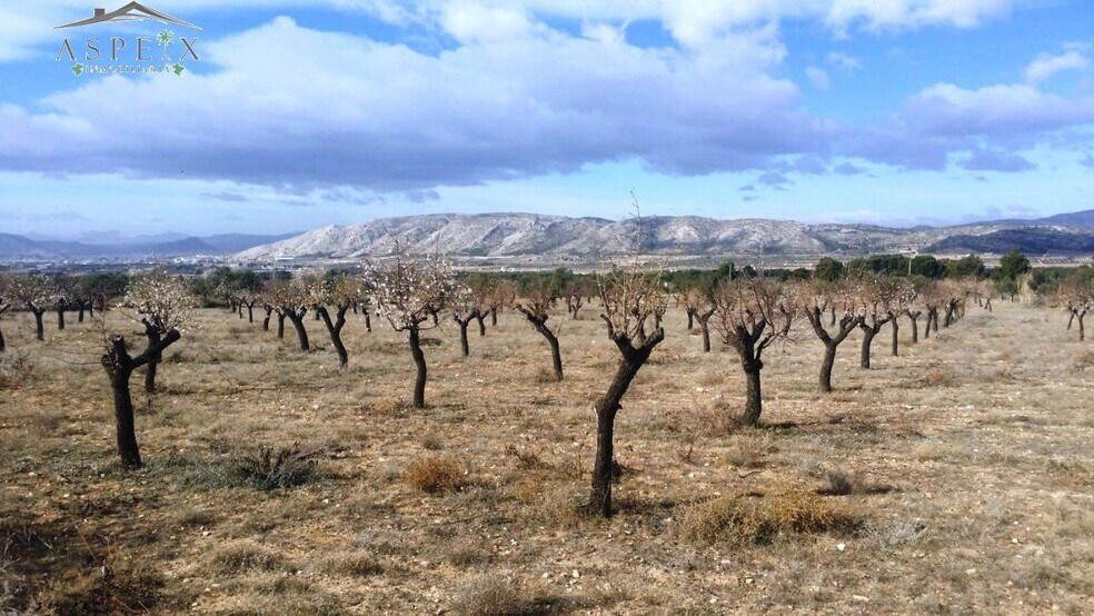 Terreno en Biar, Alicante en venta - Vista aérea - Imagen 3 de 6