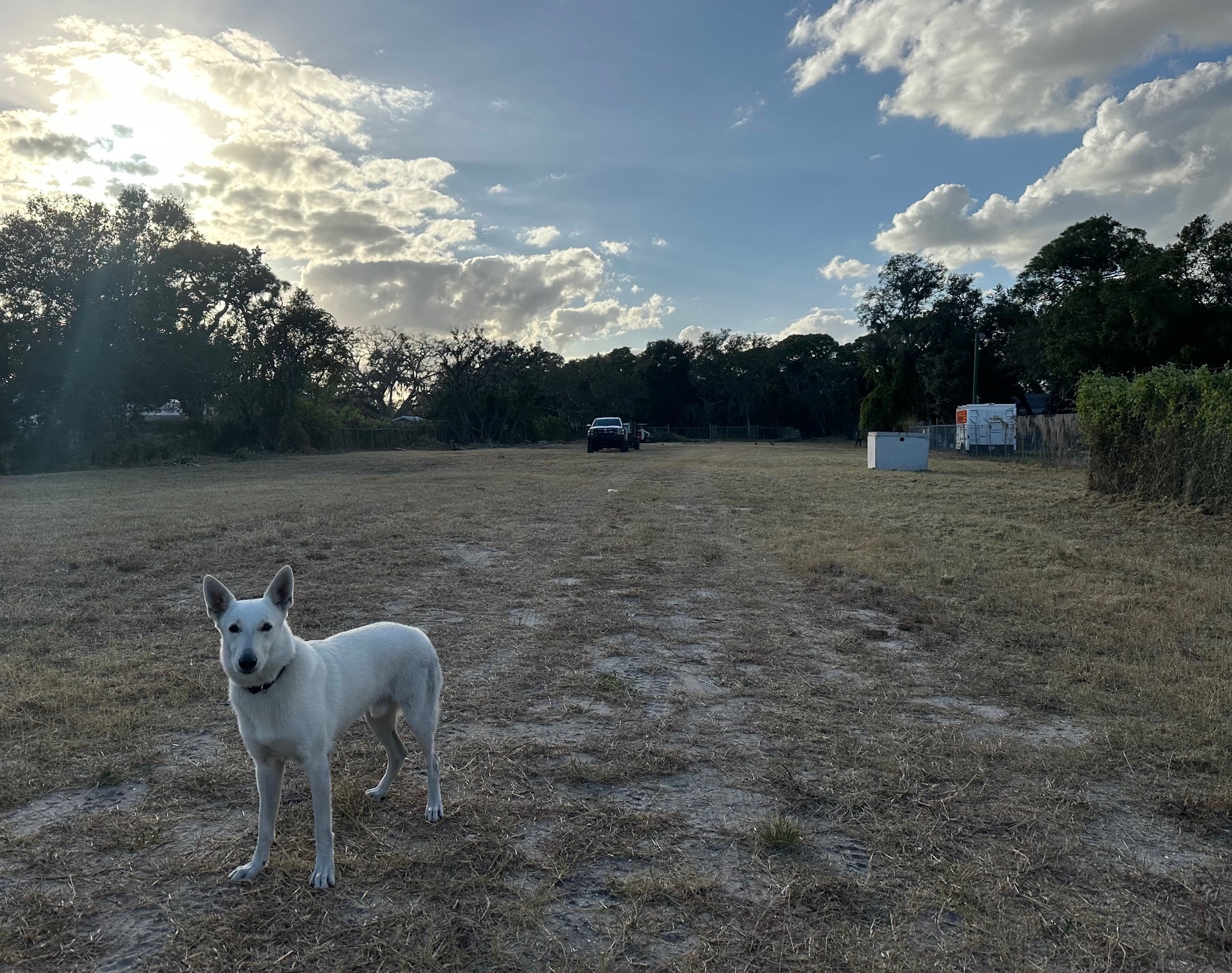 Cattlemen Rd, Sarasota, FL en alquiler Otros- Imagen 1 de 2