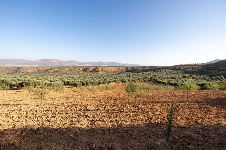 Calle Altillo Alto, Cogollos de la Vega, Granada en venta - Vista aérea - Imagen 3 de 17
