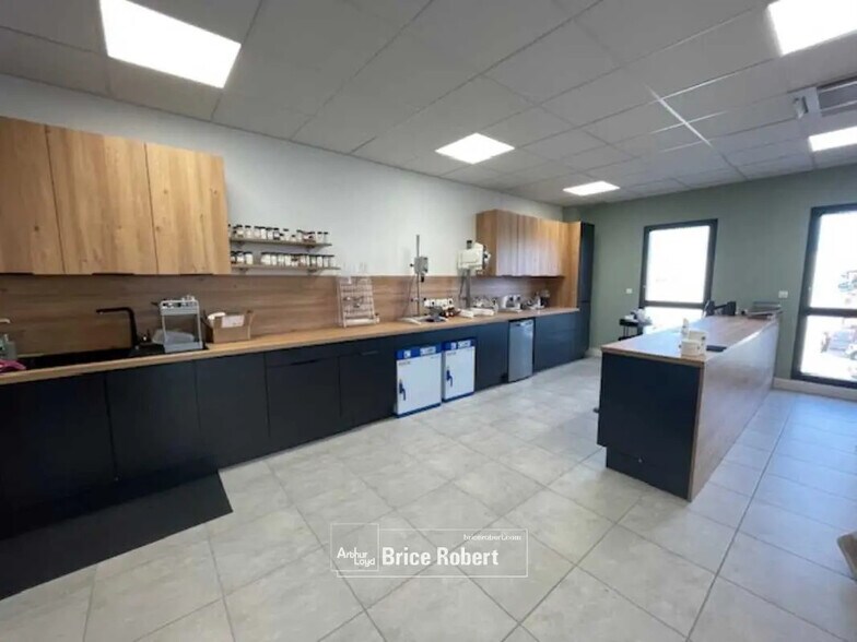 Flex en Décines-Charpieu en alquiler - Foto del interior - Imagen 3 de 89