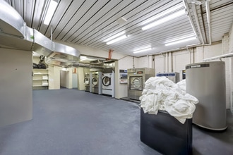 22 Fred St, Lilyfield en alquiler Foto del interior- Imagen 1 de 5