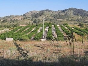 MONÒVER, ALI - Aérea  vista de mapa - Image1