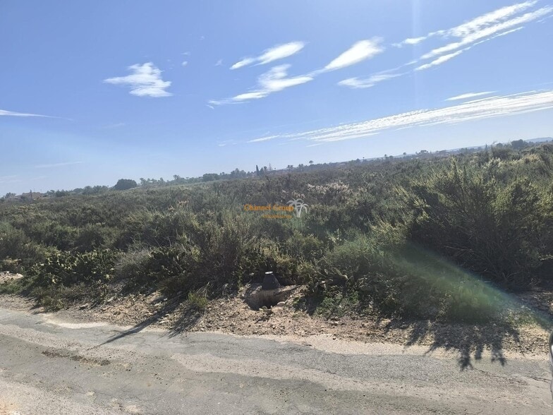 Terreno en Elche, Alicante en venta - Foto principal - Imagen 1 de 4