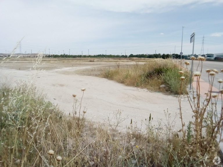 Terrenos en Pinto, MAD en venta - Foto del edificio - Imagen 2 de 2