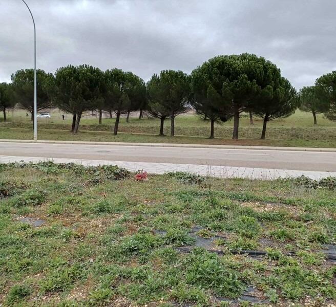 de Carbajal, Leon, Eras de, 22, León, León en venta Plano del sitio- Imagen 1 de 7