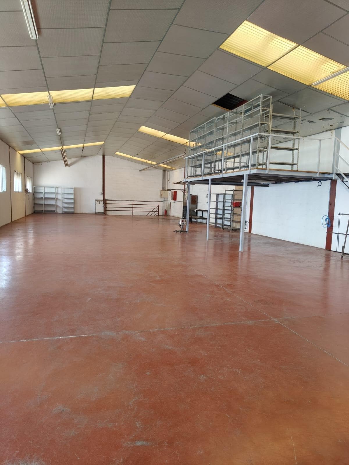 Nave en Elche en alquiler Foto del interior- Imagen 1 de 17