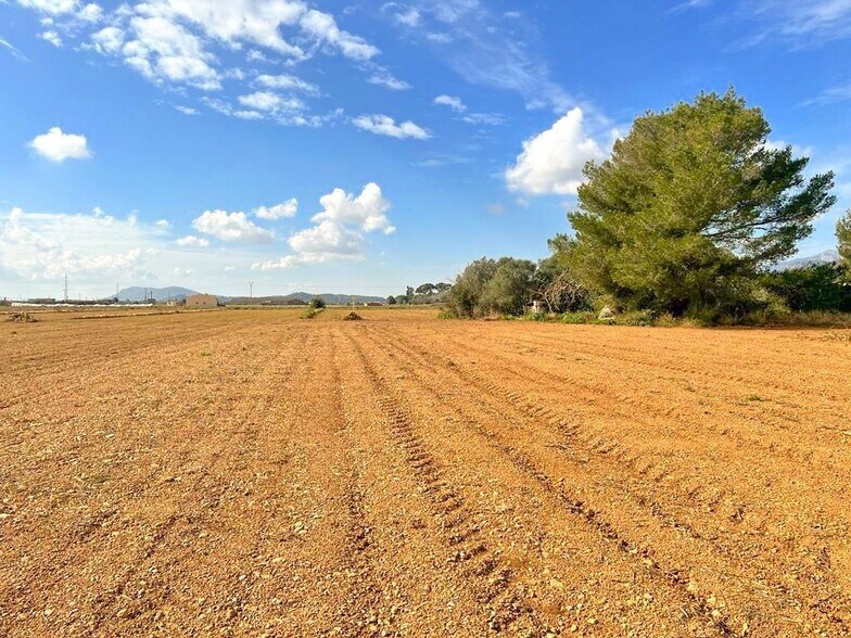 Terreno en Sa Pobla en venta - Vista aérea - Imagen 3 de 7