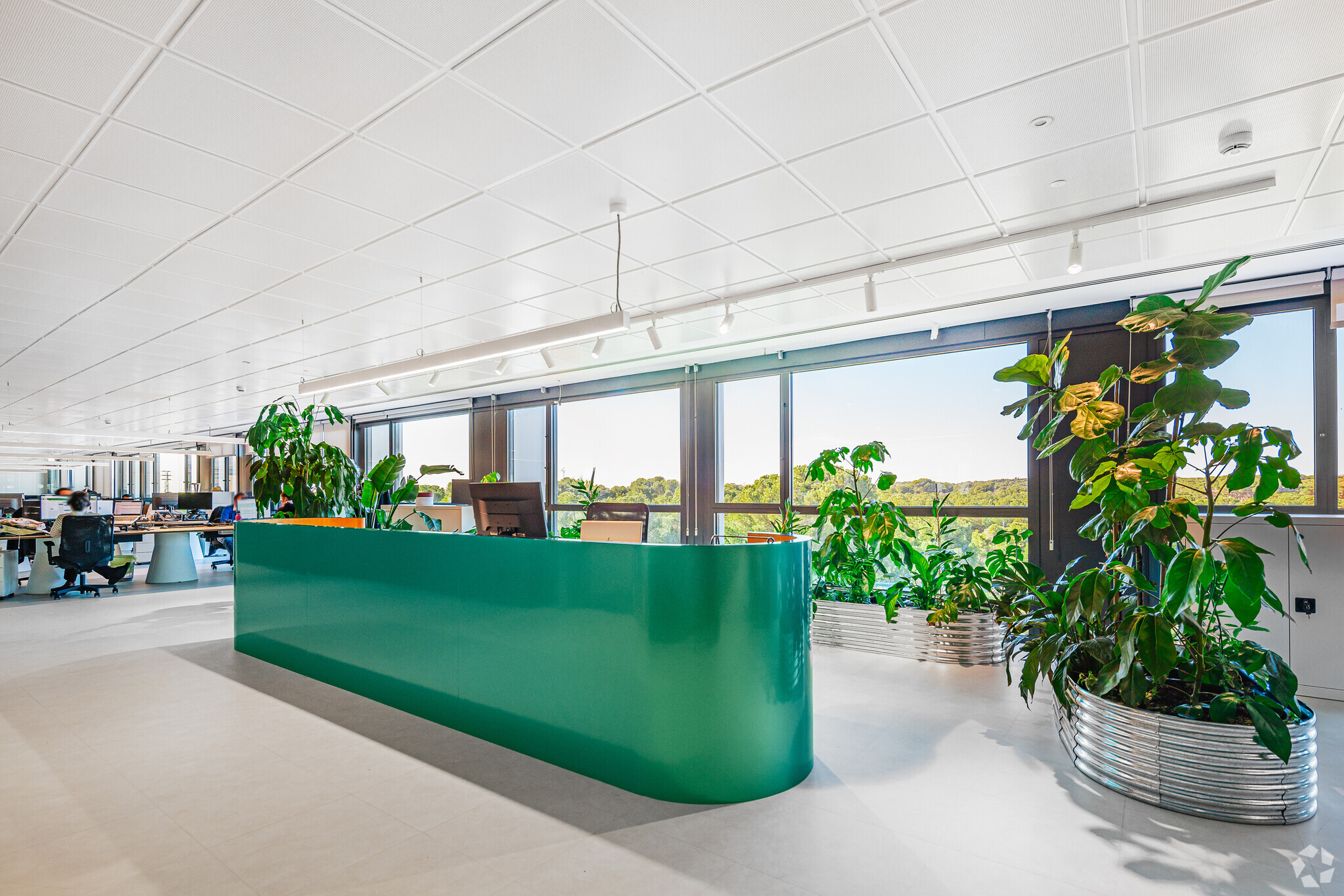 Camino Cerro de los Gamos, 1, Pozuelo de Alarcón, Madrid en alquiler Foto del interior- Imagen 1 de 8