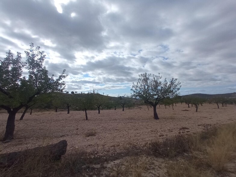 Calle de la Vereda, 4, Abanilla, Murcia en venta - Foto del edificio - Imagen 3 de 4