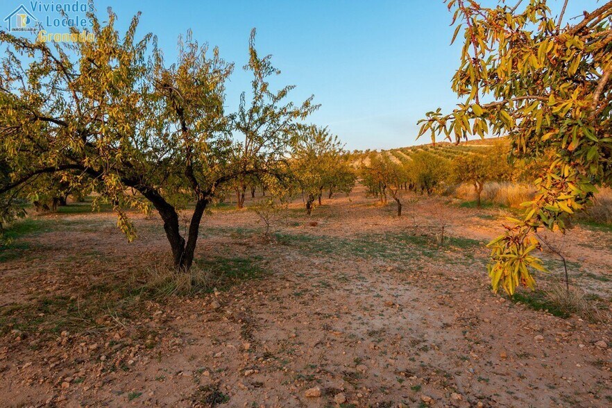 Camino la Zapatera, Gójar, Granada en venta - Foto del edificio - Imagen 2 de 15