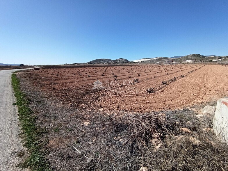 Terreno en PINOSO en venta - Foto del edificio - Imagen 3 de 3