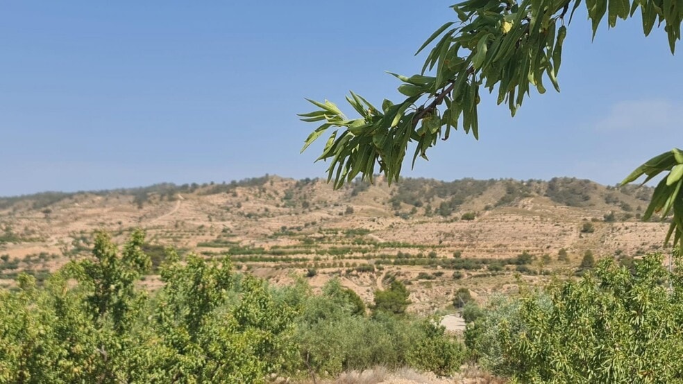 Terreno en Abanilla, Murcia en venta - Foto principal - Imagen 1 de 10