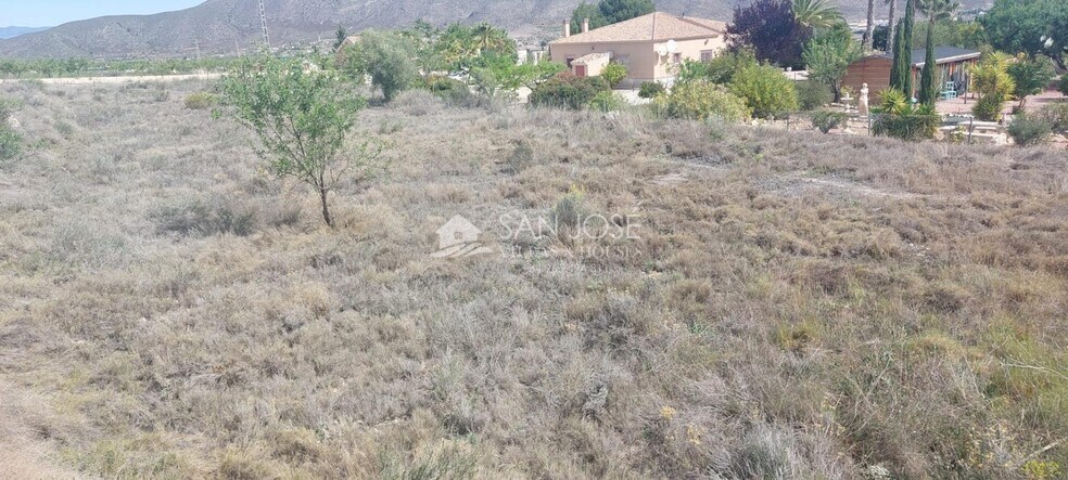 Terreno en Hondón de los Frailes en venta - Foto del edificio - Imagen 3 de 9