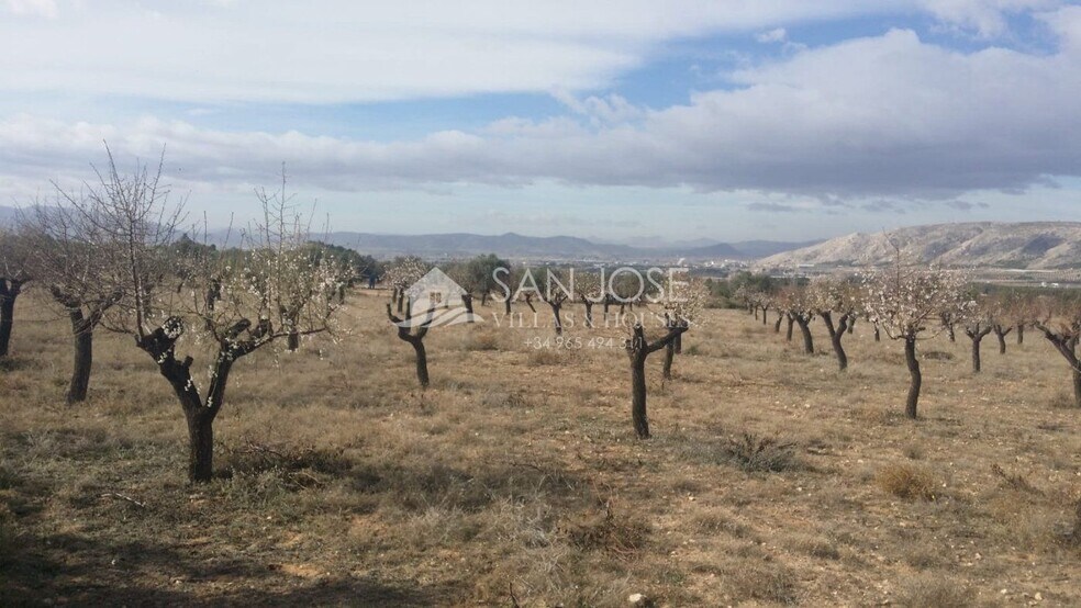 Terreno en Biar en venta - Foto del edificio - Imagen 2 de 6