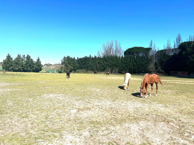 de Castillejo, S/N, Laguna de Duero, Valladolid en venta - Foto del edificio - Imagen 3 de 46