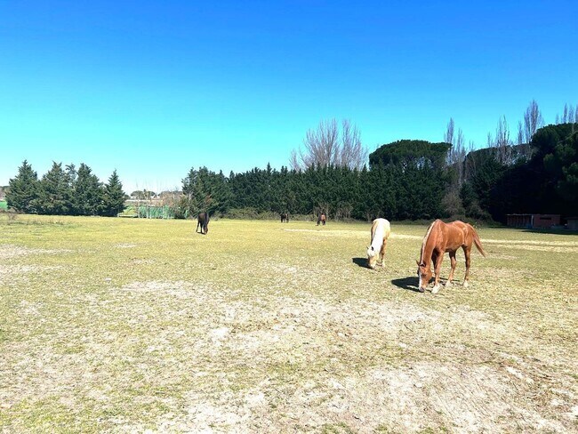 Más detalles de de Castillejo, S/N, Laguna de Duero - Terreno en venta