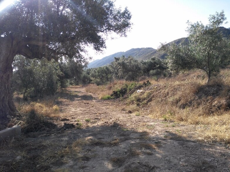Terreno en Calasparra, Murcia en venta - Plano del sitio - Imagen 3 de 25