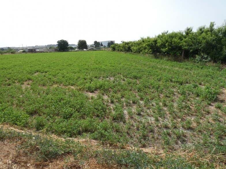 Terreno en Alguazas, Murcia en venta - Plano del sitio - Imagen 3 de 7