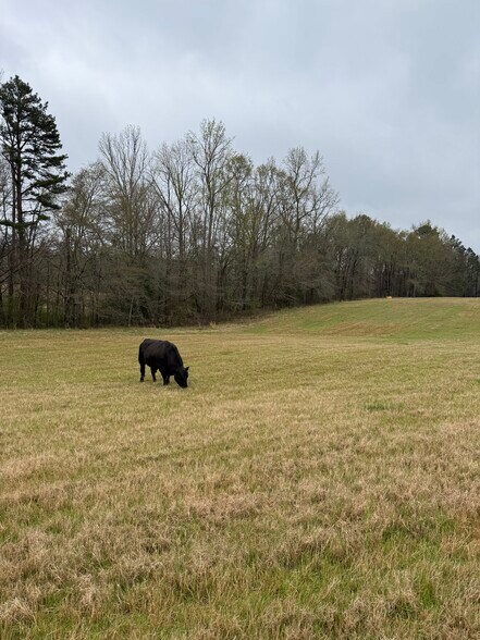 1681 Sibley School rd, Greensboro, GA en venta - Foto principal - Imagen 2 de 7