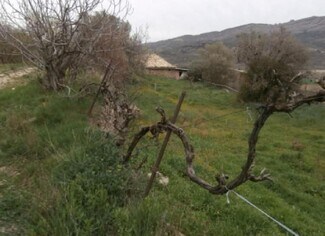 Más detalles de Terreno en venta