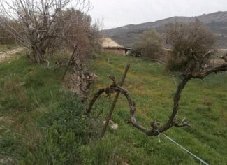 Más detalles de Terreno en venta