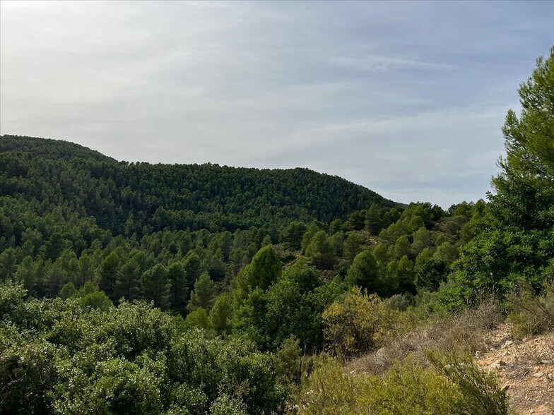 Terreno en Buñol en venta - Foto del edificio - Imagen 3 de 12