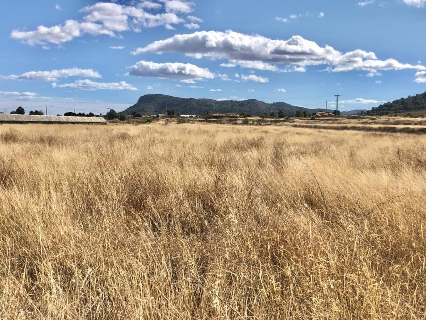 Terreno en La Romana, Alicante en venta Vista aérea- Imagen 1 de 6