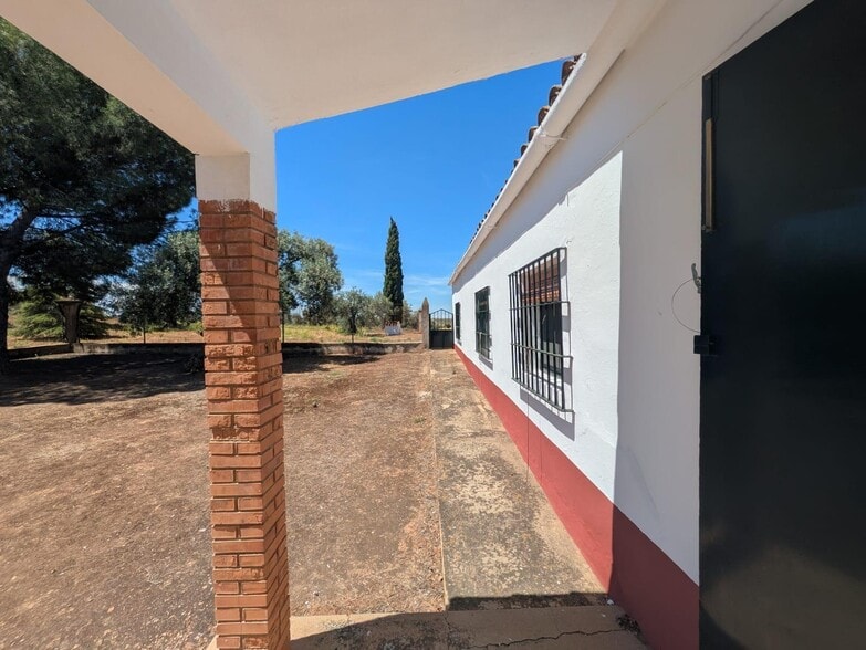 Terreno en Solana de los Barros, Badajoz en venta - Foto principal - Imagen 3 de 49