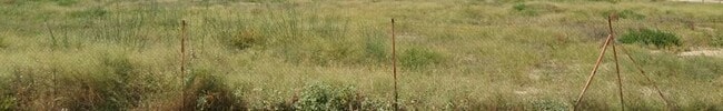 Más detalles de Terreno en venta
