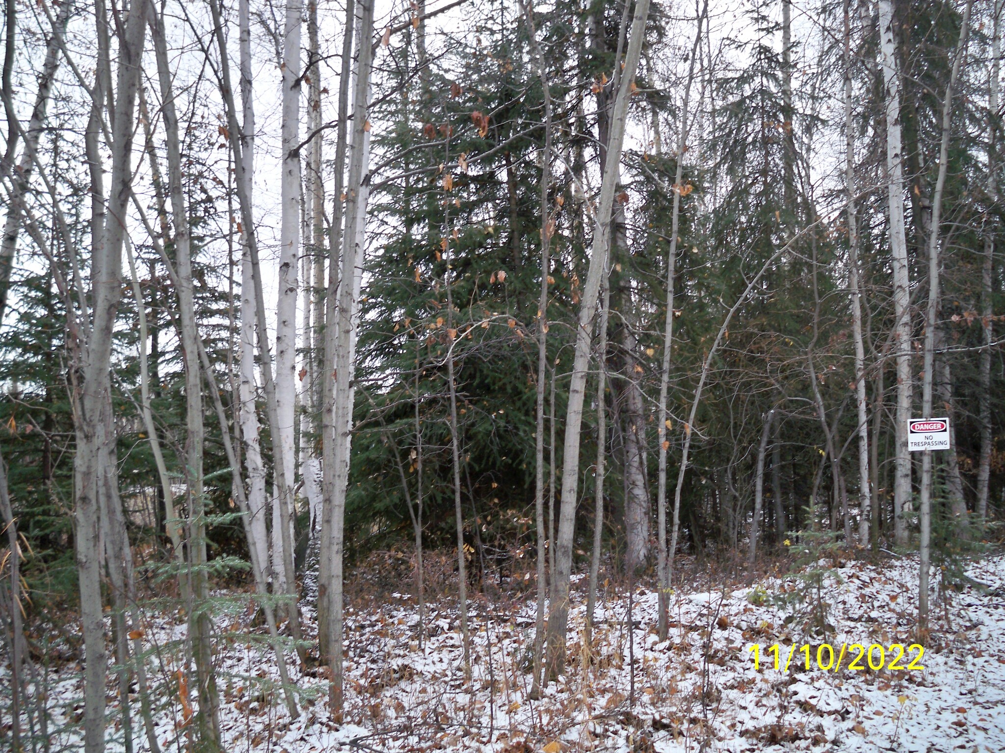 Chief William Drive, Fairbanks, AK en venta Foto principal- Imagen 1 de 4