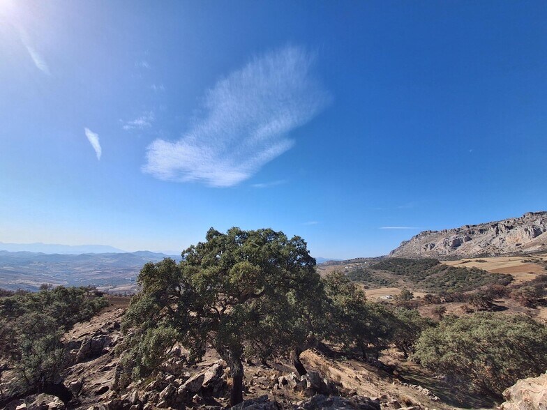 Terreno en Antequera, Málaga en venta - Foto del edificio - Imagen 3 de 19